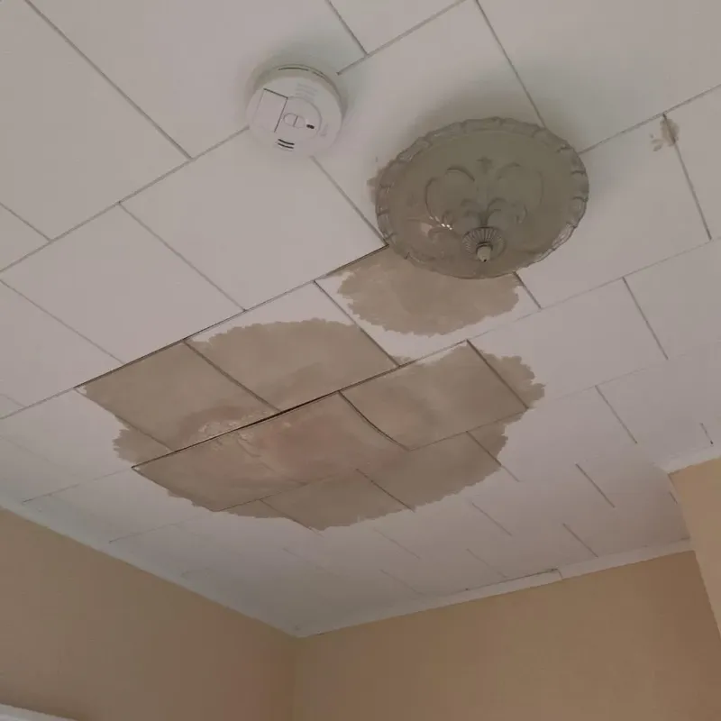 Ceiling Water Damage Repair in Amboy, WA