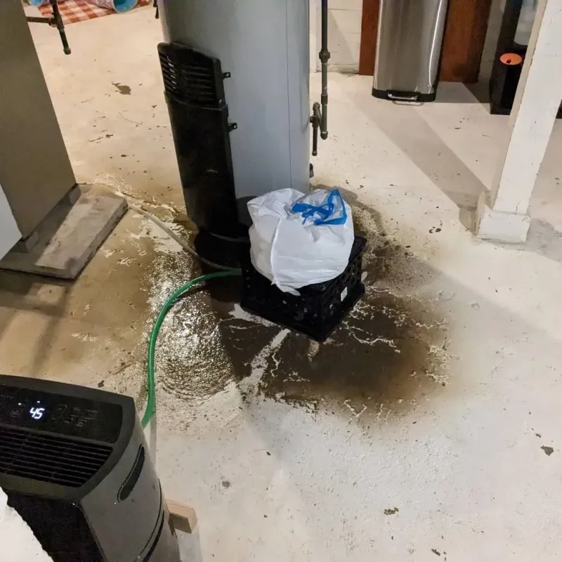Sewage Backup Cleanup Service in Amboy, WA